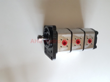Hydraulikpumpe Schaeff Terex HR12, HR14, 0510565080  Haldex W9A3-10-10-08R7 ,  AZPFFF-11-011/011/008RCB202020MB